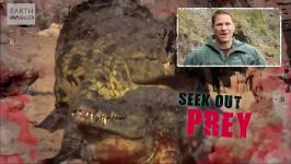 دنیای حیوانات  کروکودیل خشن ترین قاتل حیات وحش  Crocodile Kills Wildebeest