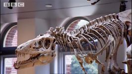 دنیای دایناسورها  سیر تکاملی تی رکس قاتل دایناسورها  T Rex Growth Spur