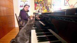 دنیای حیوانات  نورا گربه پیانونواز  Nora The Piano Playing Cat