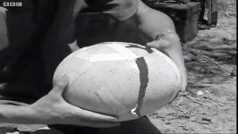 دنیای حیوانات  تخم غول پیکر فیل پرنده  The Massive Elephant Bird Egg