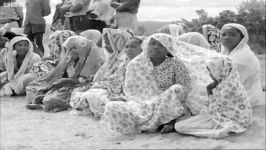 دنیای حیوانات  پرستش کروکودیل ها توسط روستاییان  Villagers Worship Crocodiles