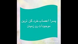 هرکی قبول داره بزنه لایکو