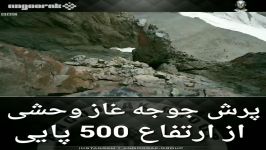 پرش جوجه غاز وحشی ارتفاع 500 پایی