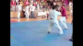 Ipon Kyokushin karate