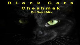 Black Cats Cheshmak DJ Said Mix  بلك كتس  چشمك دیجی سعید میکس