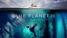 دنیای حیوانات  پیش درآمدی بر مستند سیاره زمین 2  Blue Planet II The Prequel