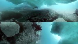 دنیای حیوانات  غواصی در یخ های قطب جنوب ویدیو 360 درجه  Diving Under Icebergs