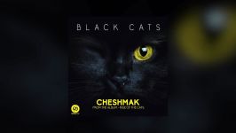 Black Cats  Cheshmak OFFICIAL TRACK   چشمك  بلك كتس