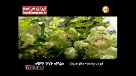 حامد فقیهیخواننده شیرازی رادیو هفت  نماهنگ شیراز