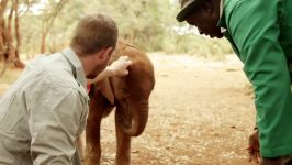 Welcome To The World Of Extraordinary Animals  Real Wild Documentary