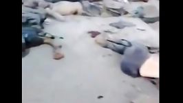 کشته شدن دها عضو جبهه النصره در کمین حزب الله