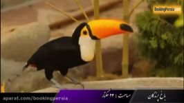 باغ پرندگان لویزان، جایگاه زیباترین پرندگان ایران  بوکینگ پرشیا