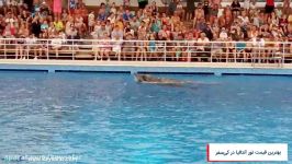 Aksu Dolphinarium Kundu