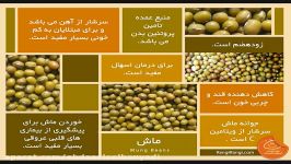 طرز طبخ آش ماشاب، غذای سنتی مردم استان قم