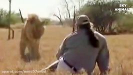 Amazing Wild Animals Attacks  Wild Animal Fights Caught On Camera  s