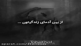 این خیعلی قشنگ بید