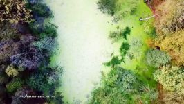 تصاویر هوایی بسیار زیبا مرداب دیوک کلاردشت جنگلهای هزار رنگ پاییز