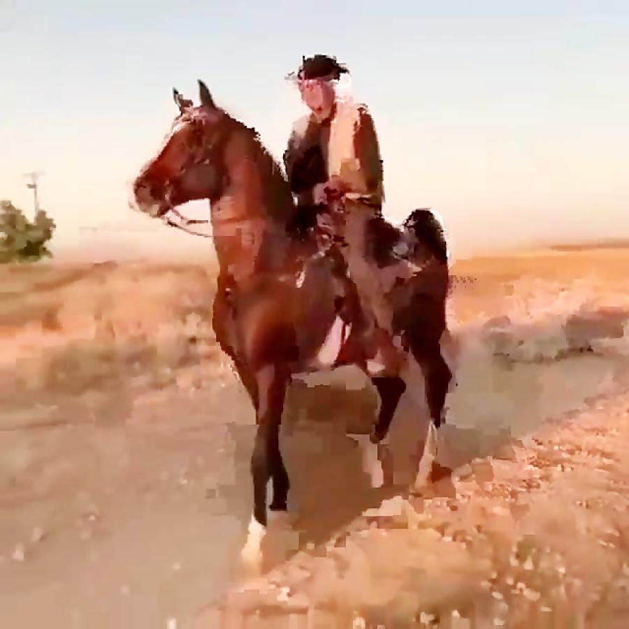 سیلمی دره شوری سالار۲ 