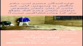 آلارم زایمان اسبWireless mare foaling alarm