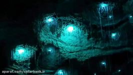 غار وایتامو Waitomo Gloworms Caves