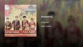 Altai Kai  Snowdrop