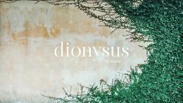 BTS 방탄소년단  Dionysus  Piano Cover