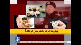 گردوی تقلبی چینی داخل گردوهای اصل برای واردات به ایران