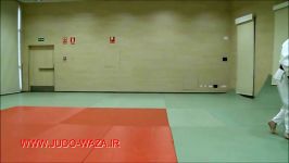 Judo 2014 Referee Rules  Edge Situations 1