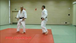 Judo 2014 Referee Rules  Edge Situations 2