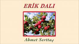 Ahmet Serttaş  Dam Ardına Dal Estim Official Audio