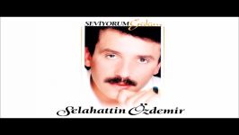 Selahattin Özdemir  Yalan Mı Oldu Official Audio