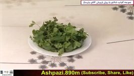 Chicken Kebab Shalto  جوجه کباب شالتو یا رولی روش آقای پارسا