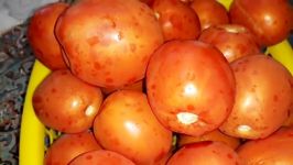 آموزش ترشی سالاد مشهدی یا ترشی گوجه پرطرفدارترین ترشی ایرانی