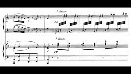 Saint Saëns Debussy  Introduction and rondo capriccioso for two p