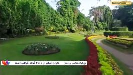 باغ سلطنتی پرادنیا،مجموعه زیبایی های طبیعت در سریلانکا  بوکینگ پرشیا