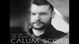 you are the reason   Calum Scott