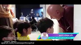 بازدید مهدکودک بیمارستان دامپزشکی ایرانیان به مناسب روز ملی دامپزشکی