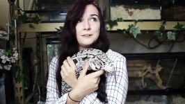 پربازدید ترین ویدیوهای بامزه حیوانات در یوتیوب  بخش 2