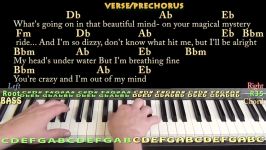 All Of Me John Legend Piano Cover Lesson with Chords Lyrics