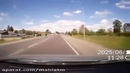 تصادف خودروي سواري گاو در جاده