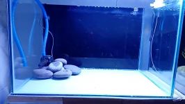 FRESHWATER TANK SETUP NEW 2018