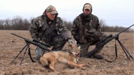 شکارچیان حیات وحش  شکار روباه