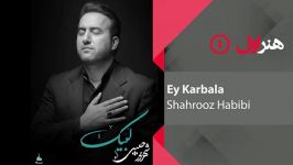 Shahrooz Habibi  Ey Karbala شهروز حبیبی  ای کربلا 