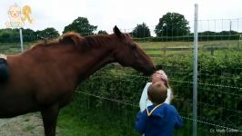 لحظاتی سرگرم کننده خنده دار کودک اسب