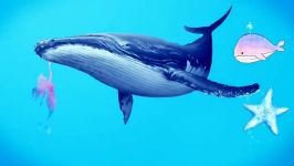 آهنگ غمگین نهنگ آبی blue whale زیرنویس فارسی