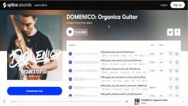 دموی مجموعه سمپل لوپ گیتار DOMENICO Organica Guitar