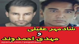 مهدی احمدوند 2هنرمند 2عشق شادمهر مهدی