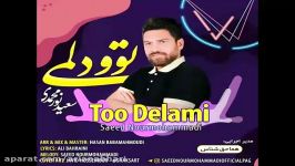 آهنگ جدید سعید نورمحمدی به نام توو دلمی