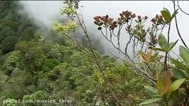 مستند Natural History Expedition Borneo 2007  قسمت اول