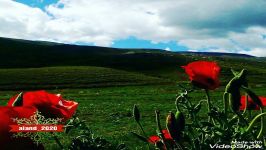 روستای الند